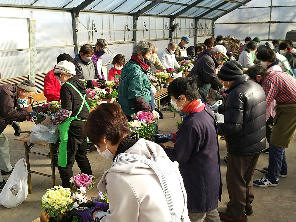 寄せ植え　写真